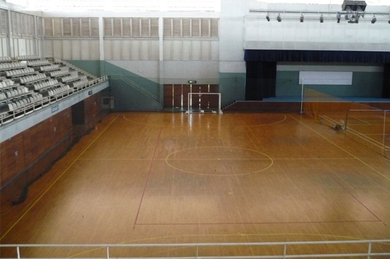 Netball/Futsal Court